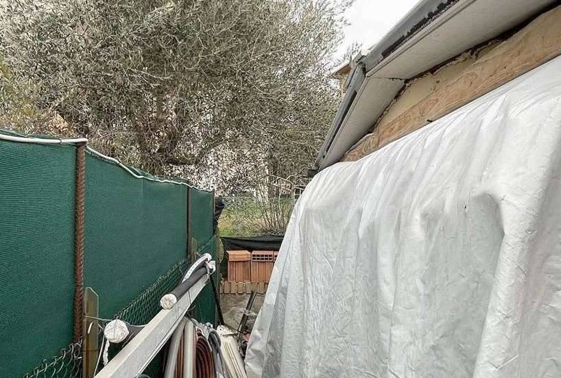 immagine annuncio 12 di 13