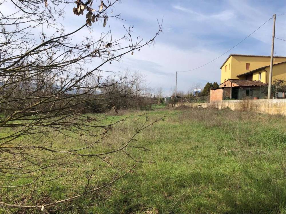 immagine annuncio 5 di 12