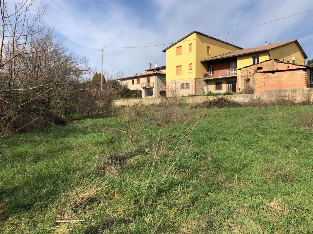 immagine annuncio 8 di 12