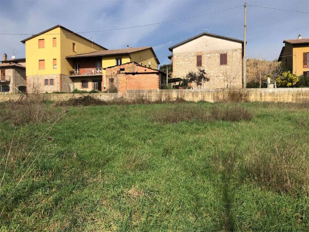 immagine annuncio 9 di 12