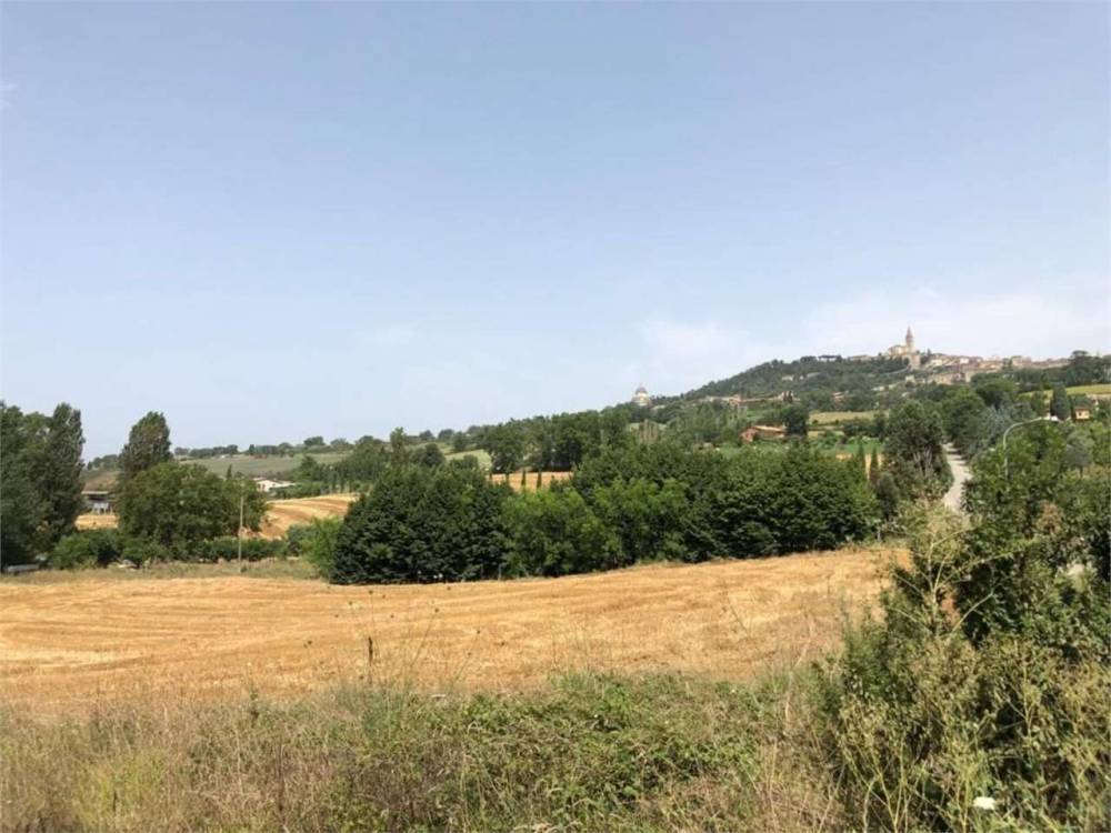 immagine annuncio 5 di 8