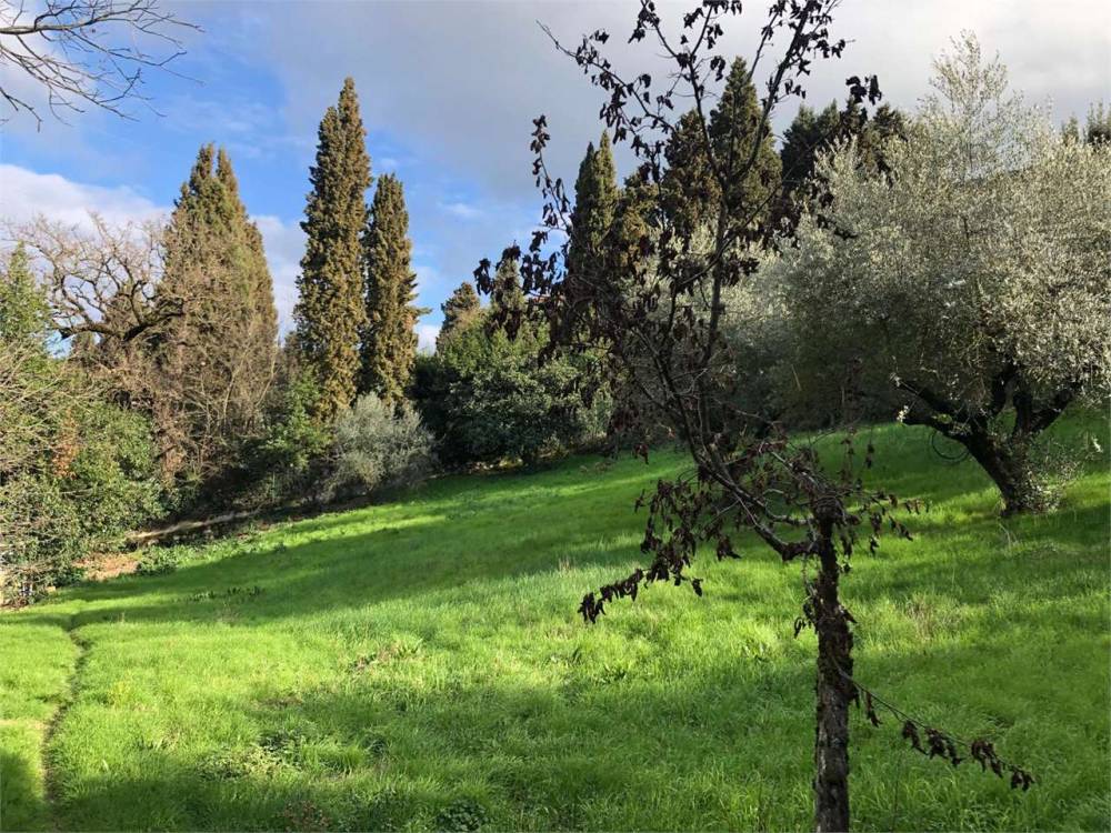immagine annuncio 4 di 13