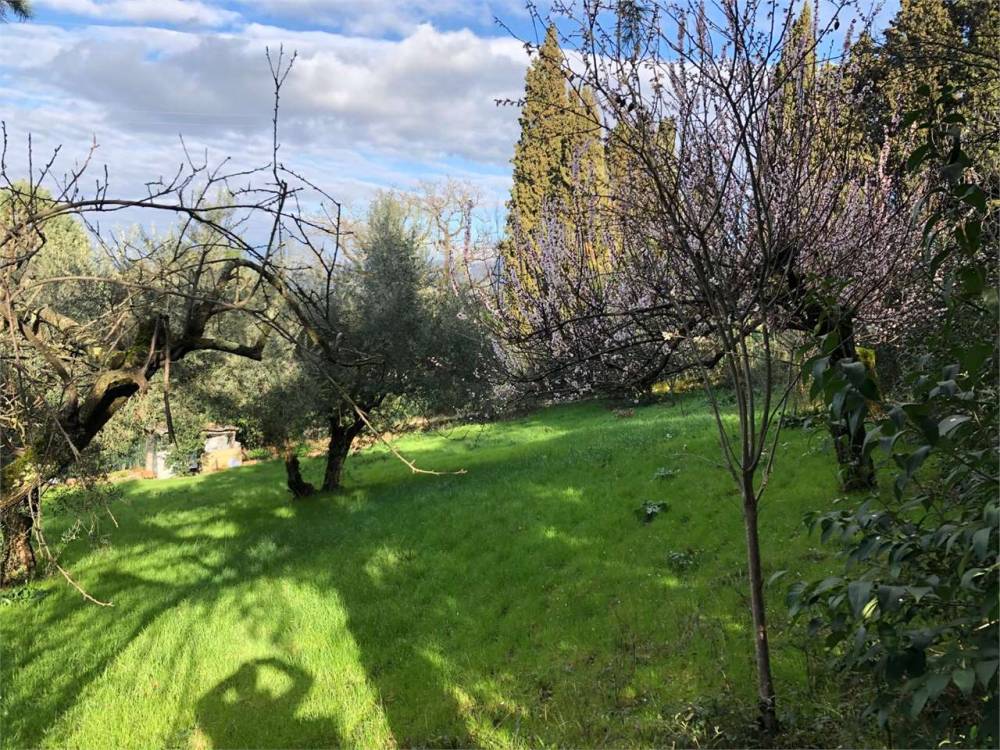immagine annuncio 8 di 13