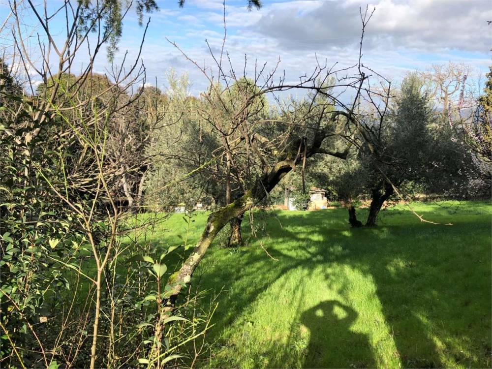 immagine annuncio 3 di 13