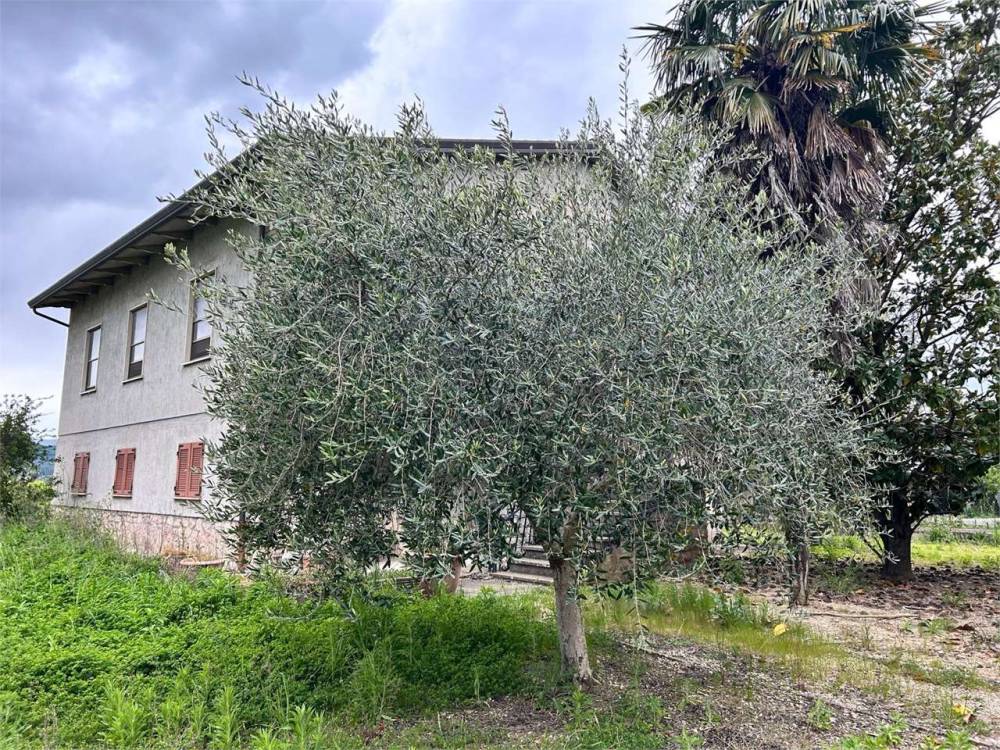immagine annuncio 6 di 13
