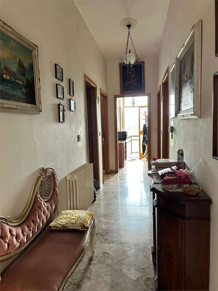 immagine annuncio 9 di 13