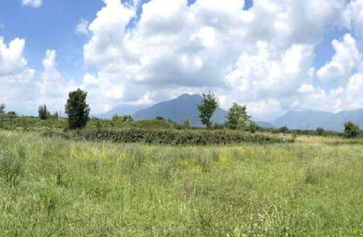 immagine annuncio 7 di 13