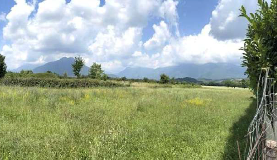 immagine annuncio 9 di 13