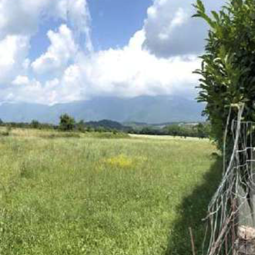 immagine annuncio 10 di 13