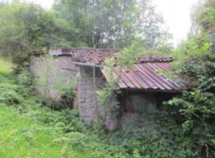 immagine annuncio 7 di 13