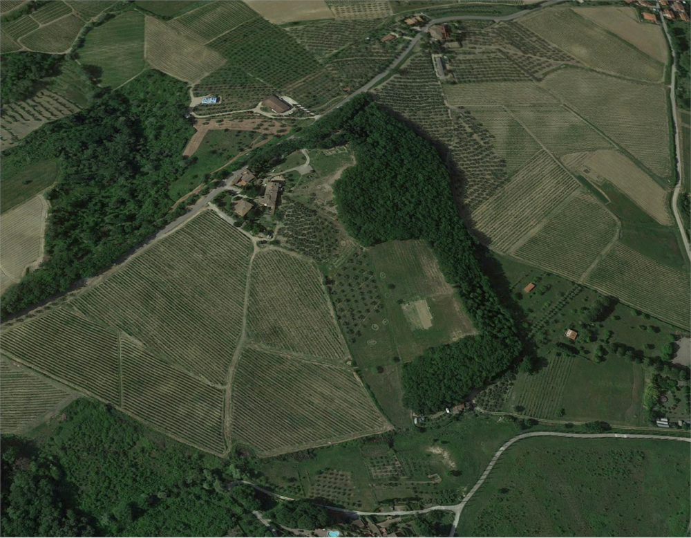 immagine annuncio 10 di 13