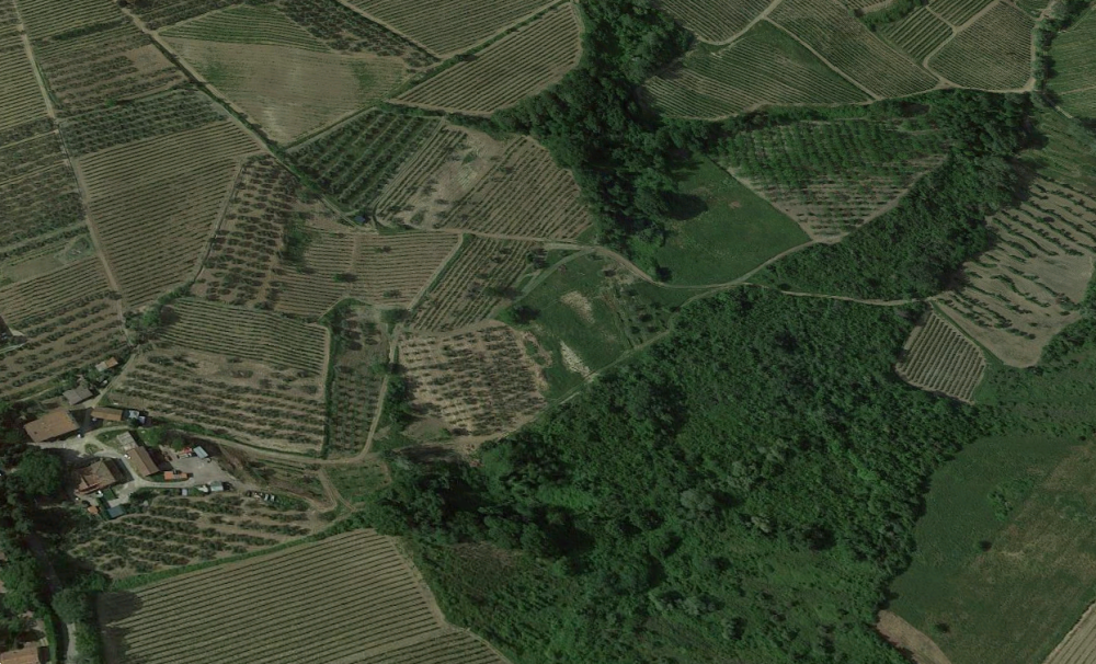 immagine annuncio 12 di 13