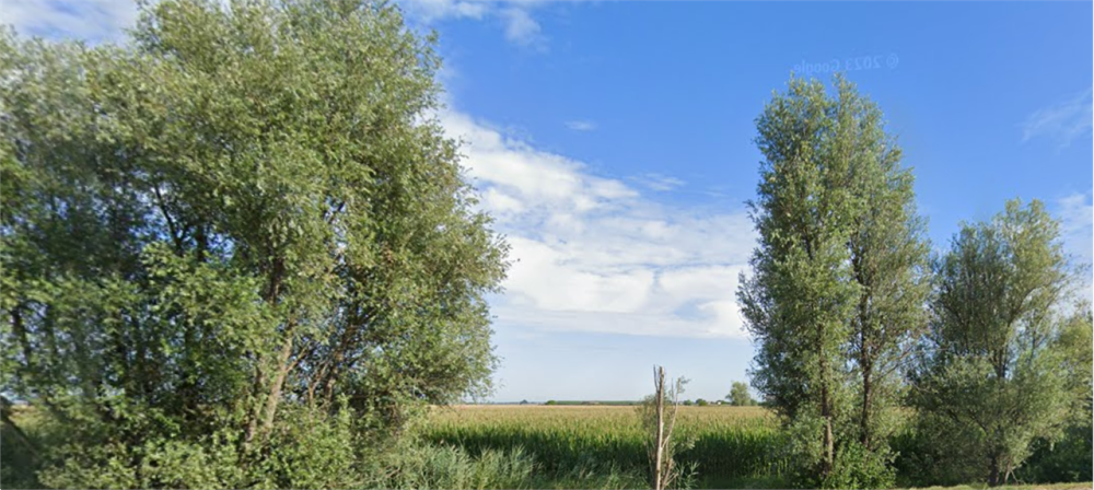 immagine annuncio 3 di 13
