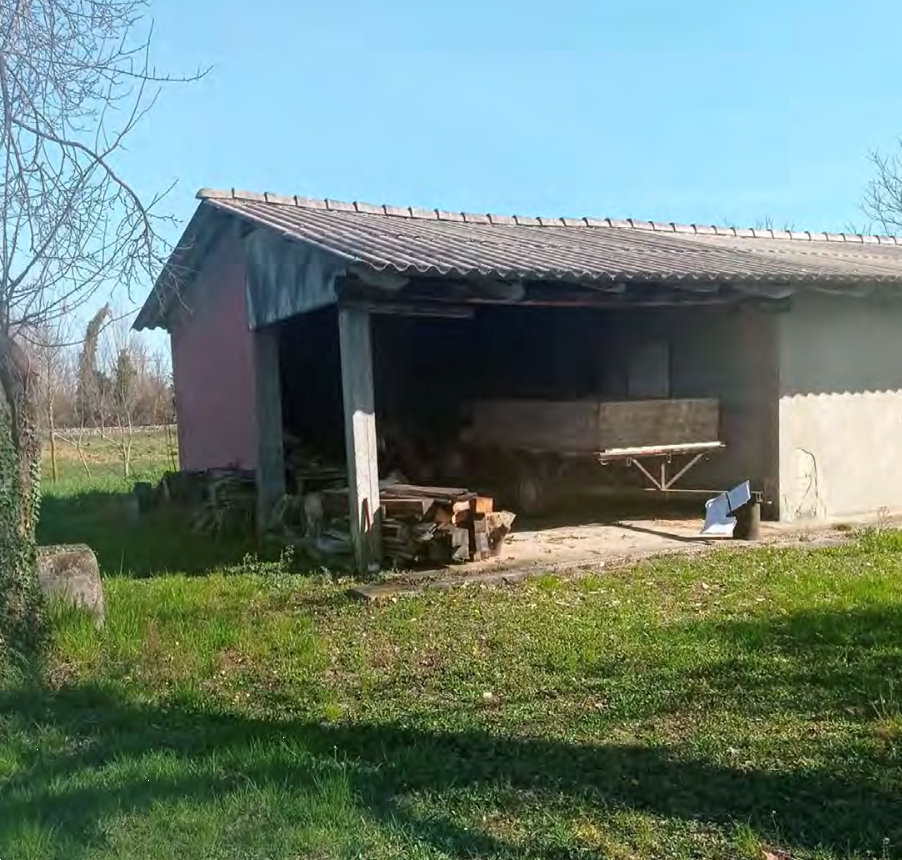 immagine annuncio 1 di 13