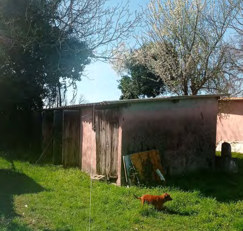 immagine annuncio 4 di 13