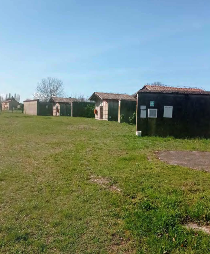 immagine annuncio 11 di 13