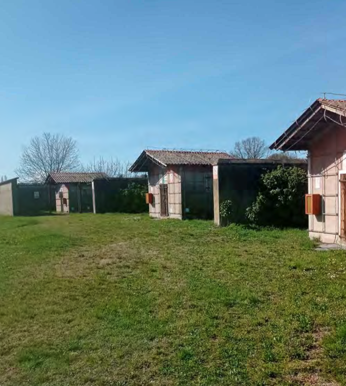 immagine annuncio 12 di 13