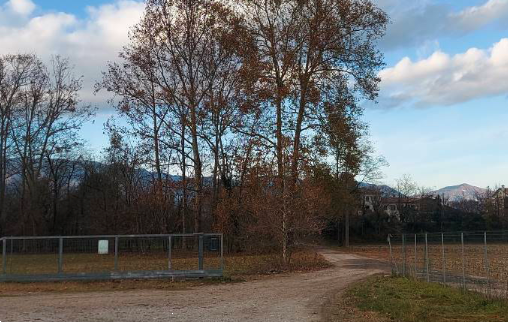 immagine annuncio 8 di 13