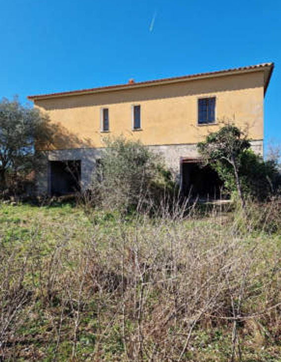 immagine annuncio 6 di 13