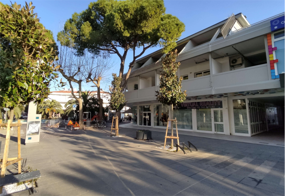 immagine annuncio 3 di 13