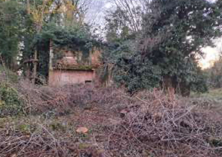 immagine annuncio 4 di 13