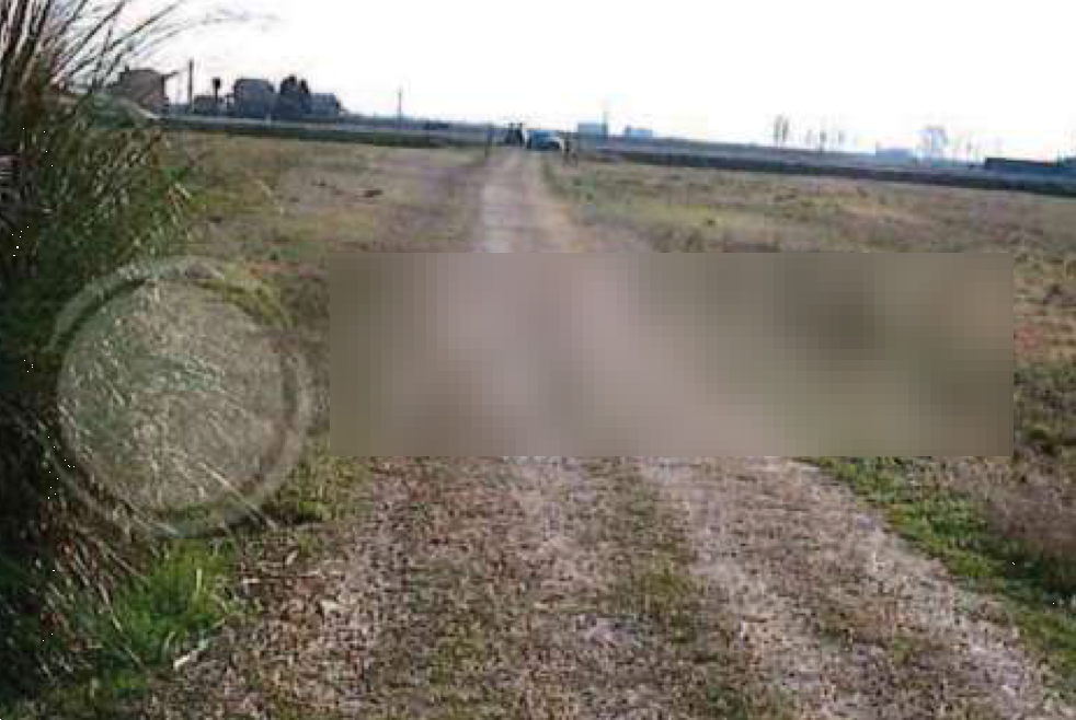 immagine annuncio 1 di 13