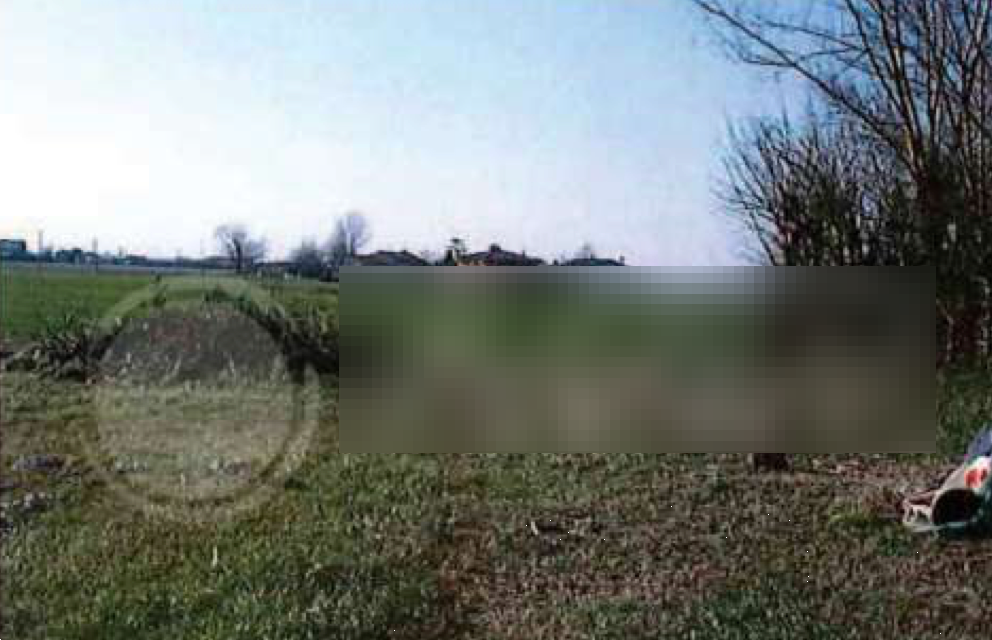 immagine annuncio 2 di 13
