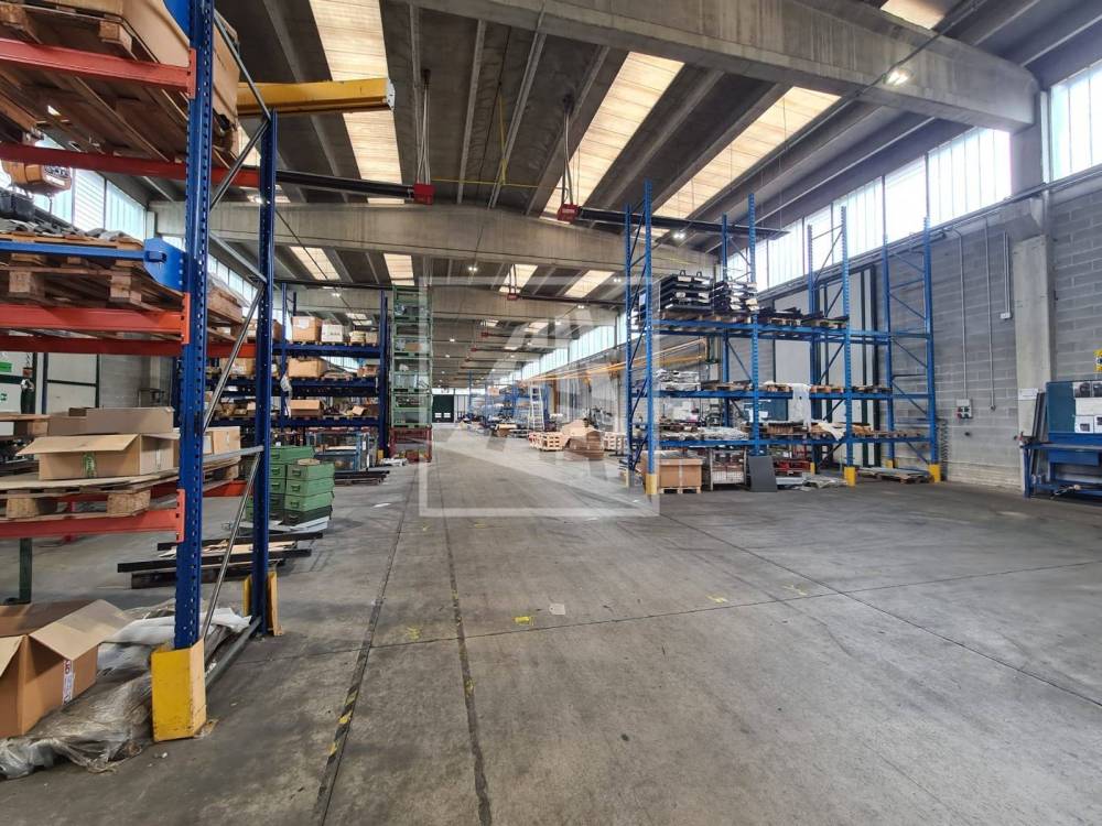 immagine annuncio 1 di 13