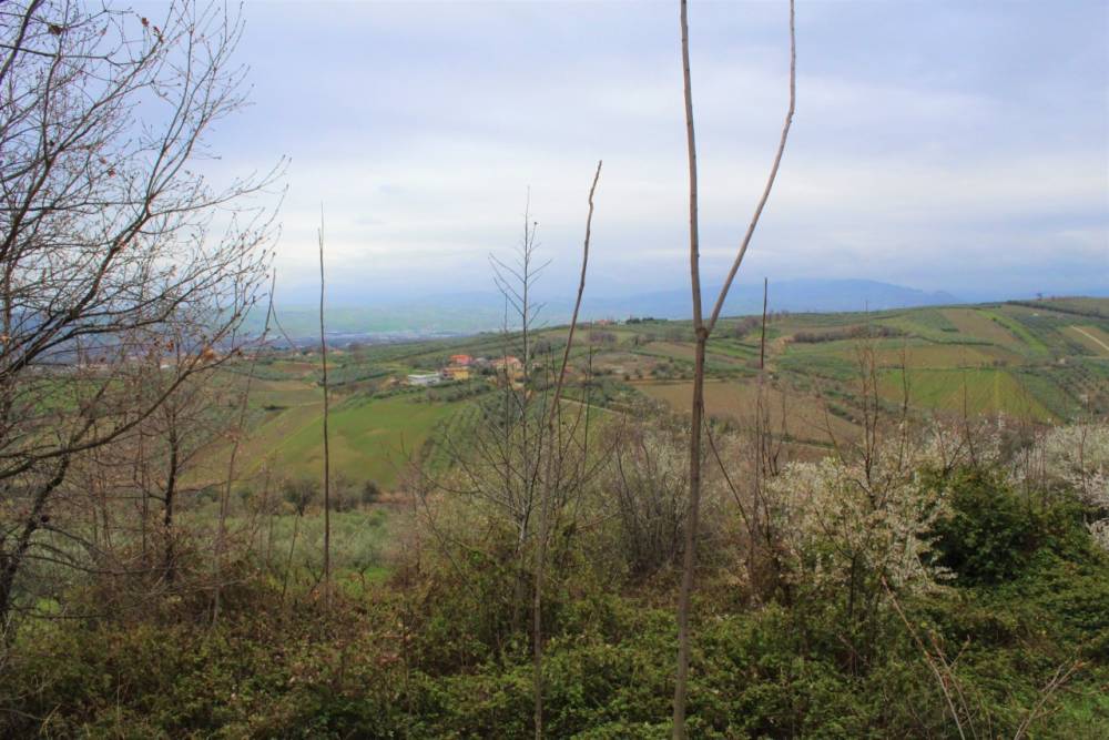 immagine annuncio 1 di 2