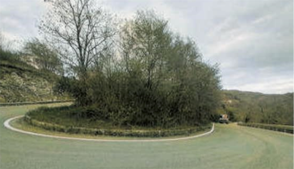 immagine annuncio 2 di 13