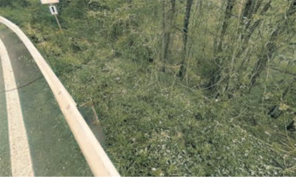 immagine annuncio 4 di 13