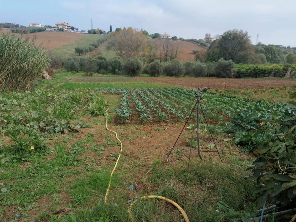 immagine annuncio 6 di 10