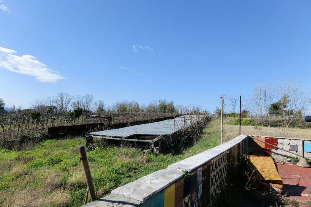 immagine annuncio 10 di 13