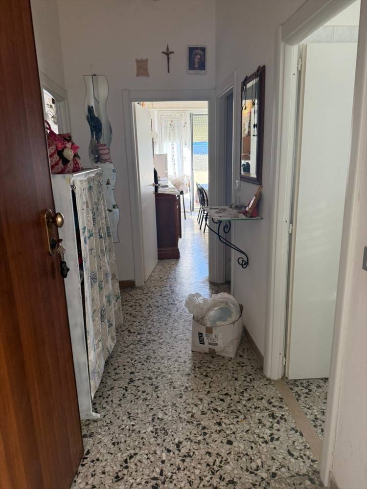 immagine annuncio 7 di 13