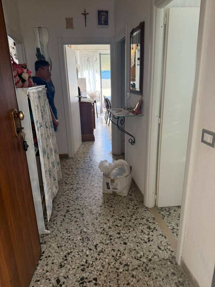 immagine annuncio 6 di 13