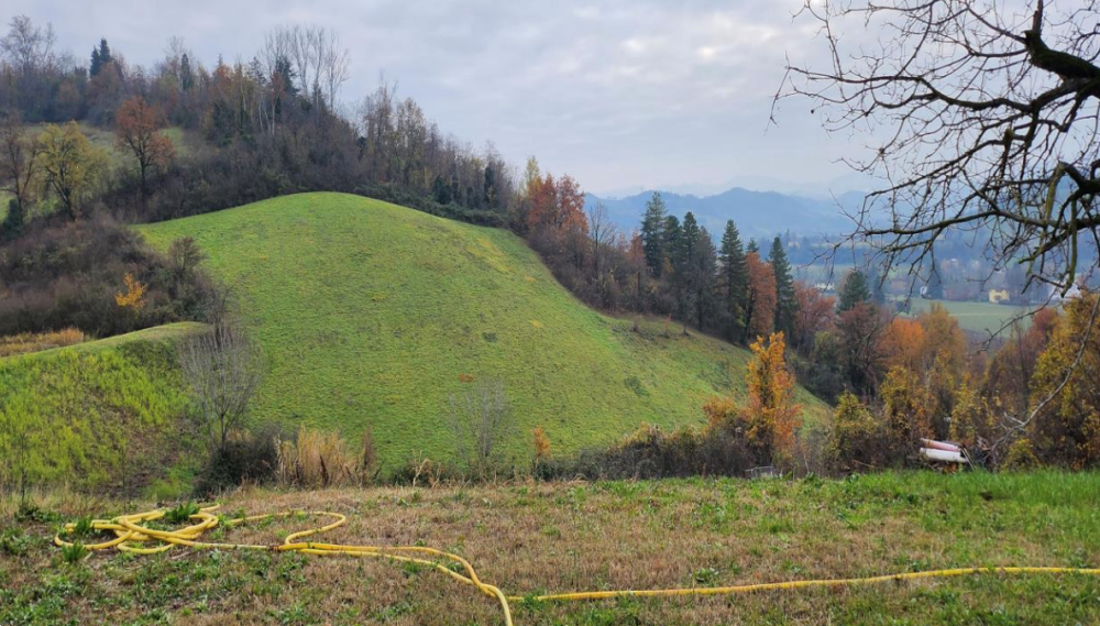 immagine annuncio 1 di 13
