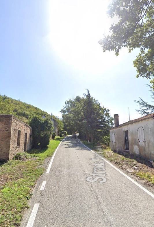 immagine annuncio 2 di 13