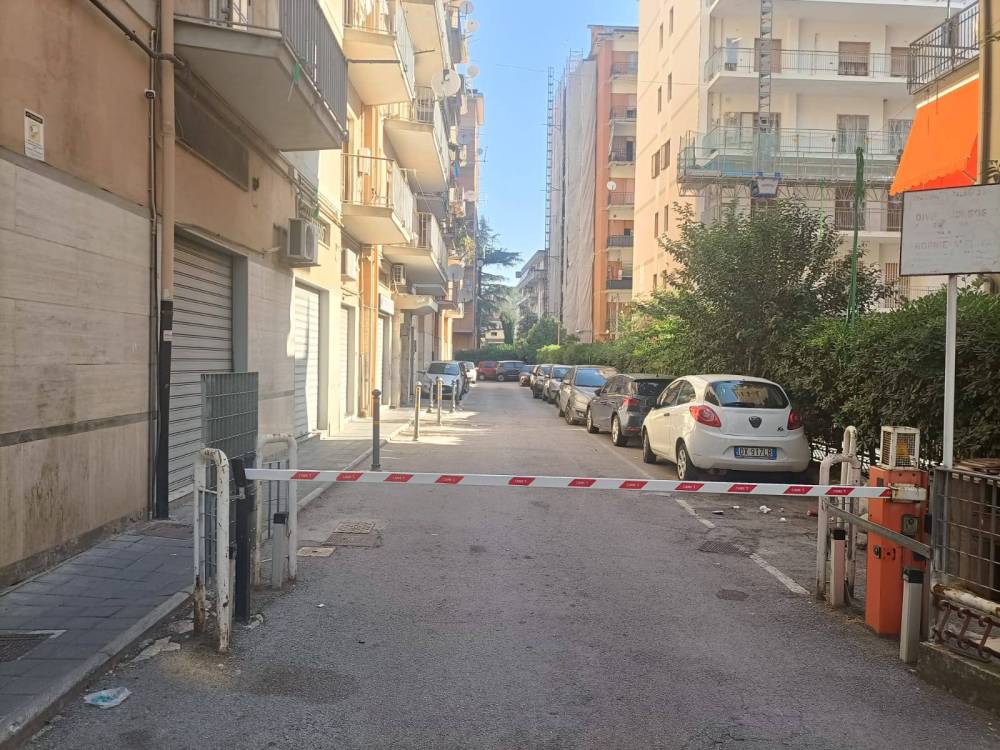 immagine annuncio 7 di 13