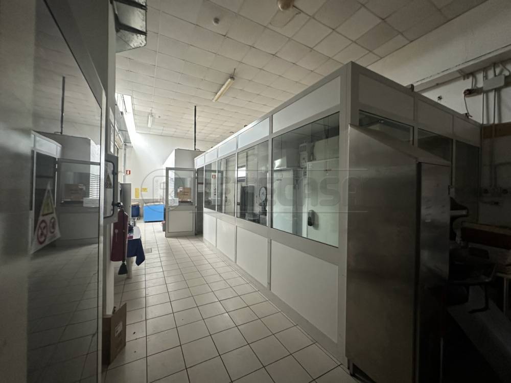 immagine annuncio 9 di 13