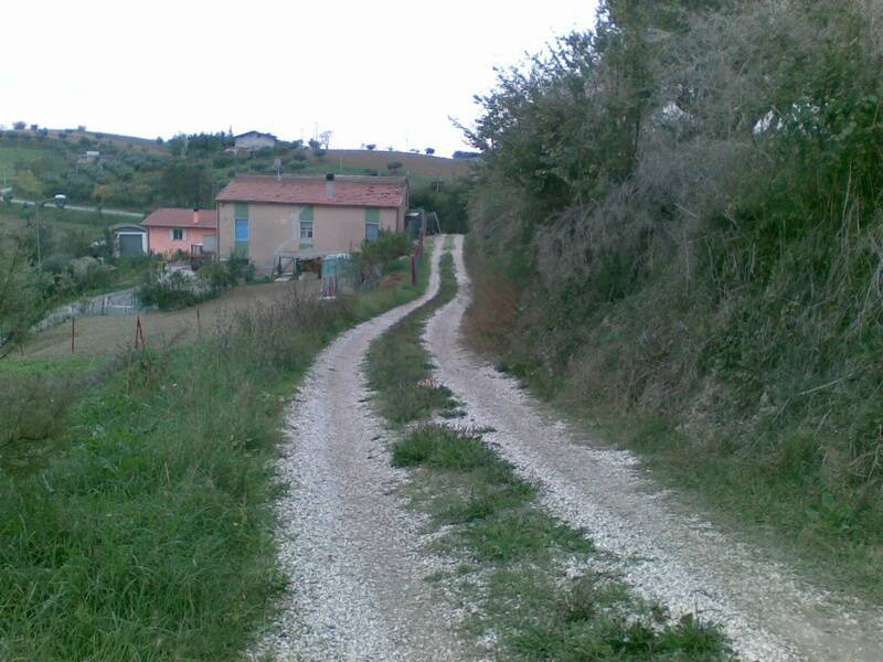 immagine annuncio 7 di 8
