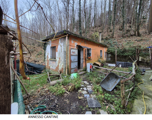 immagine annuncio 4 di 10