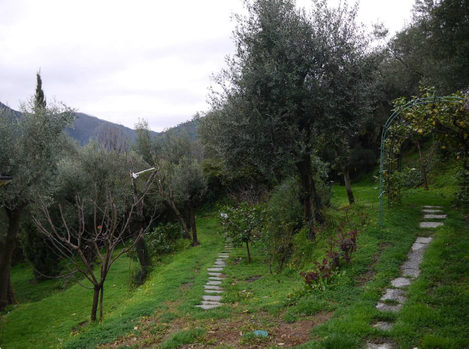 immagine annuncio 5 di 13