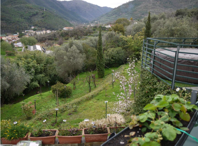 immagine annuncio 7 di 13