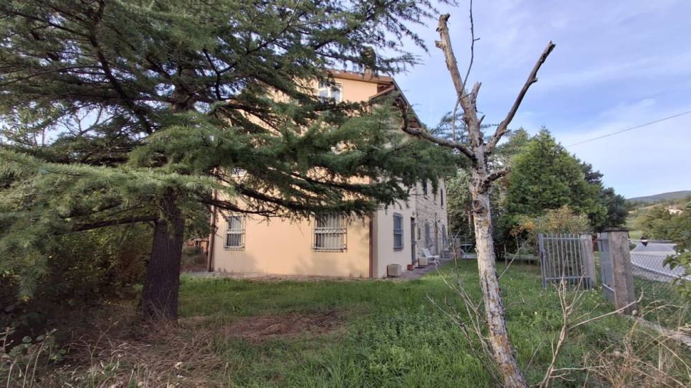 immagine annuncio 3 di 13