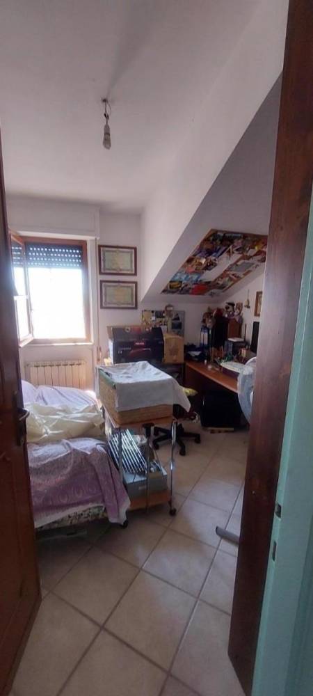 immagine annuncio 5 di 12