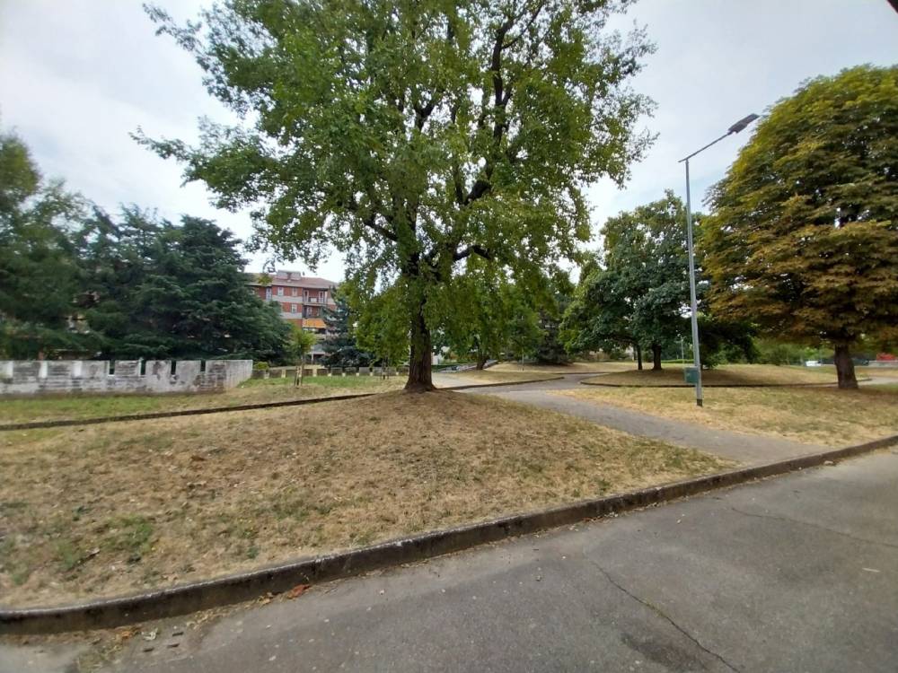 immagine annuncio 1 di 13
