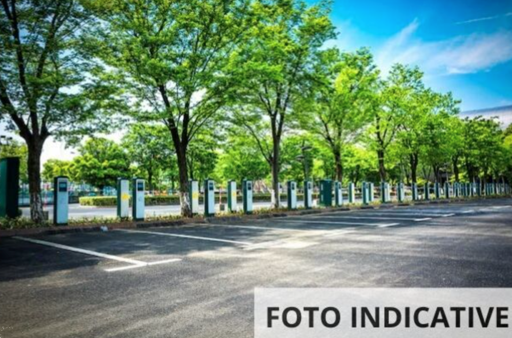 immagine annuncio 10 di 13