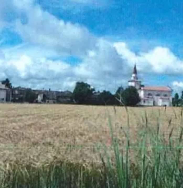 immagine annuncio 1 di 13