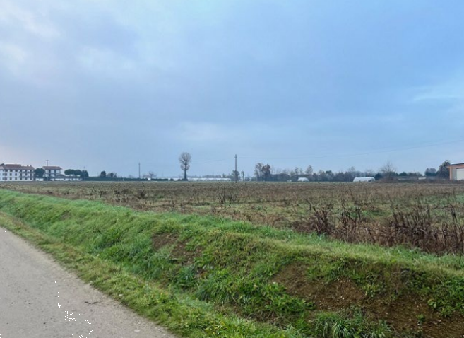 immagine annuncio 2 di 13