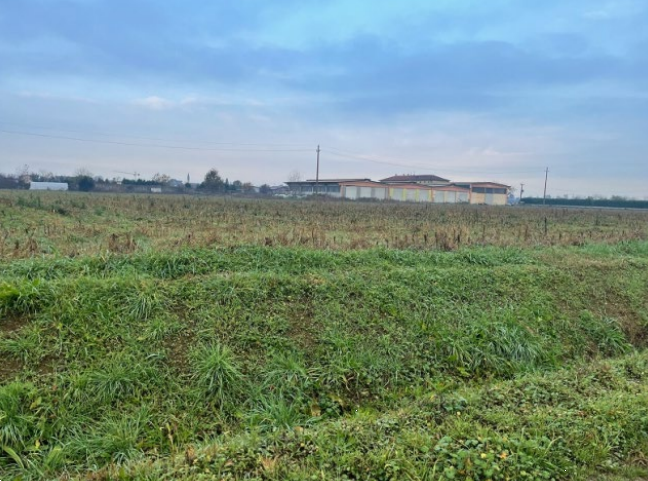 immagine annuncio 3 di 13